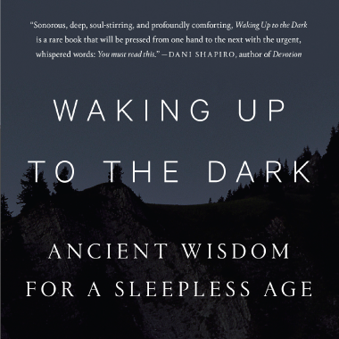 waking up to the dark book cover